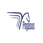 Pegasus Maritime and Development Joint Stock Company